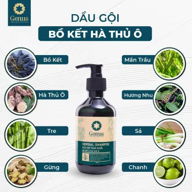 Genus Herbal Shampoo – Dầu gội thảo dược Bồ Kết Hà Thủ Ô